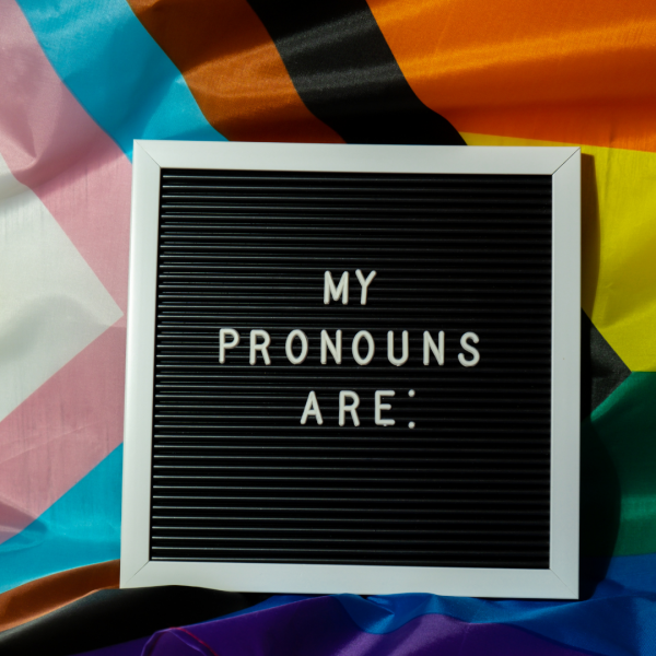a picture of a sign with the text my pronouns are