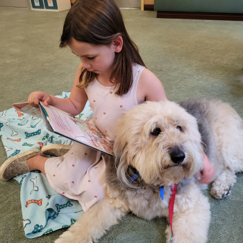 Photo of a child reading to a therapy dog